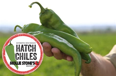hatch chile store website